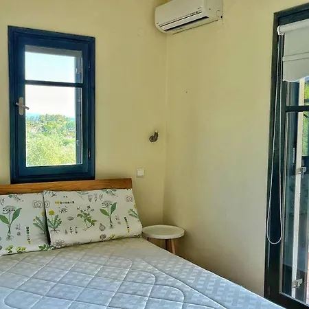 Granari Olive Nest Diaporos